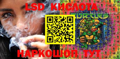 шишки Гусиноозёрск