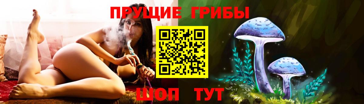 Псилоцибиновые грибы MAGIC MUSHROOMS  Галлюциногенные грибы мицелий  Вход с VPN  Назрань 